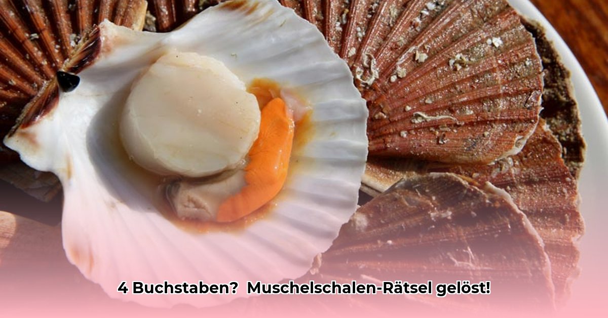 coquille-de-mollusque-4-lettres